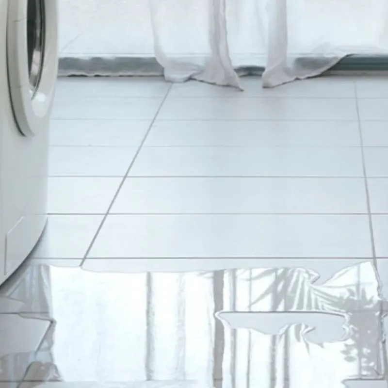 Appliance Leak Cleanup in Pontiac, IL