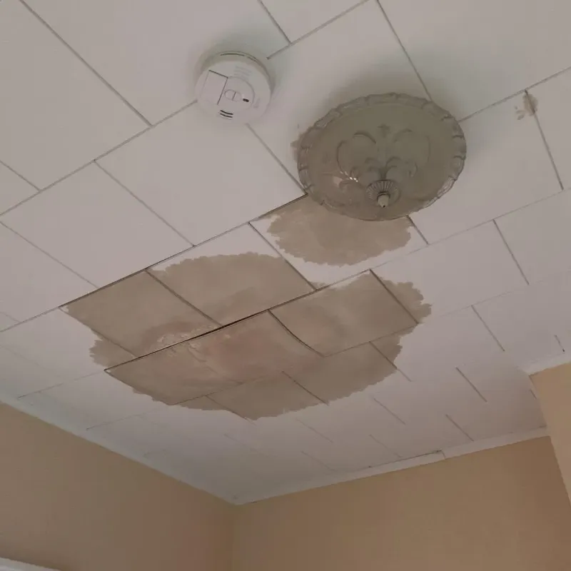 Ceiling Water Damage Repair in Pontiac, IL