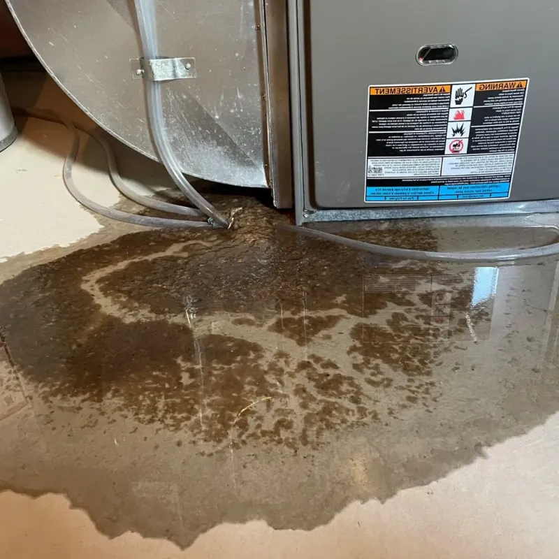 Pipe Burst and Leak Restoration in Pontiac, IL