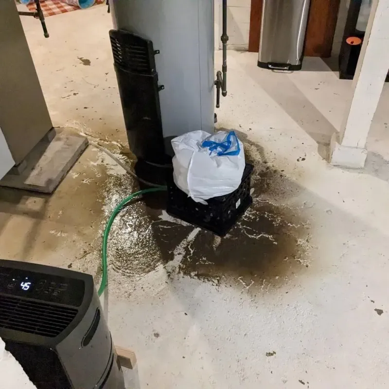 Sewage Backup Cleanup Service in Pontiac, IL
